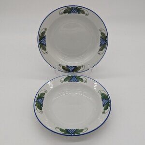 Dansk Provence Harvest Two Rim Soup Bowls Blue Green Some Scuffing Wear Used